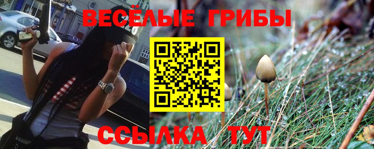Советский  Галлюциногенные грибы Psilocybine cubensis  Вход с VPN 
